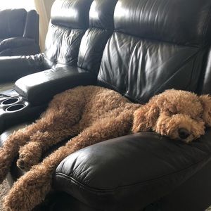 Meet your Posher, Sima